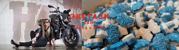 прущие грибы Беломорск
