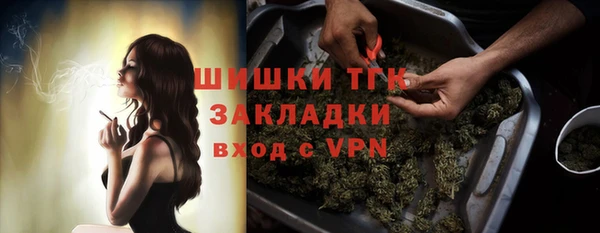 трава Белокуриха