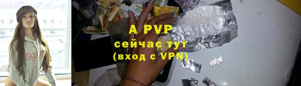 прущие грибы Беломорск