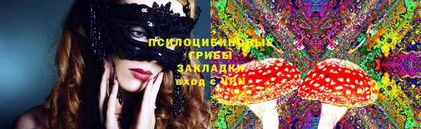 трава Белокуриха