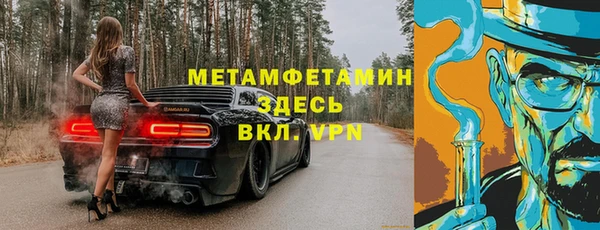 прущие грибы Беломорск