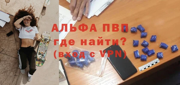 трава Белокуриха