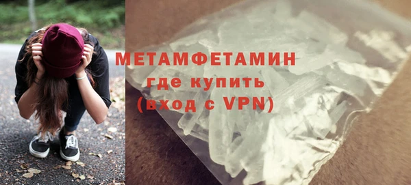 прущие грибы Беломорск